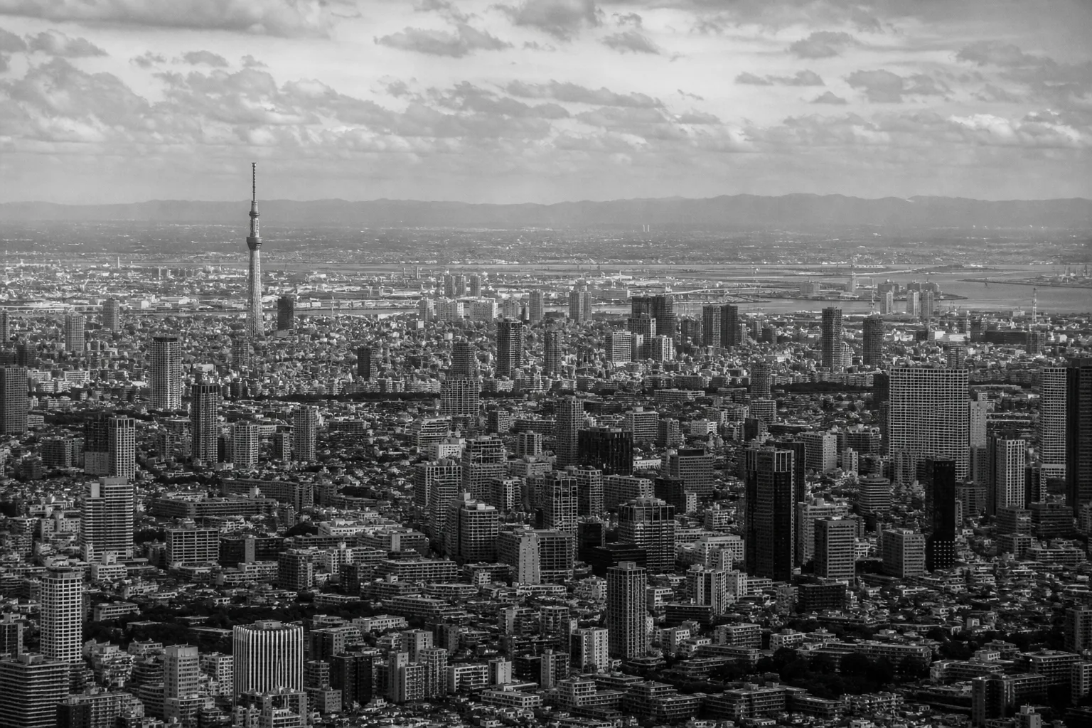 Tokyo — Illustration